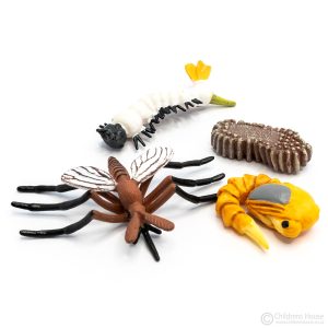 Life Cycle of a Mosquito Objects